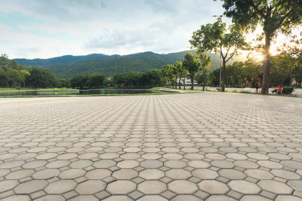 Best Custom Driveway Pavers  in Chicago, IL